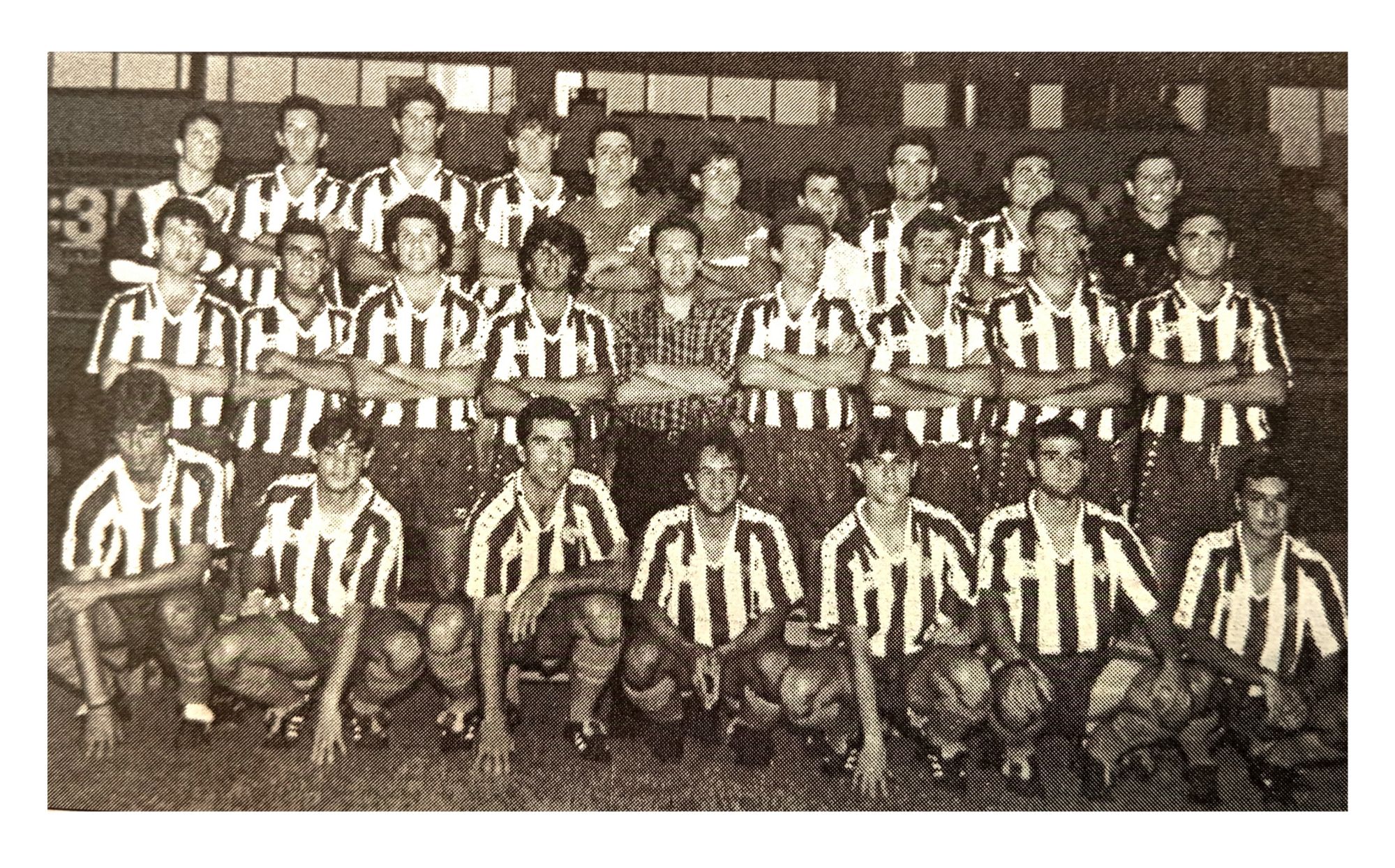 1993/1994. ALBERTO PINA PRESIDENT. EL CLUB A LA VORA DE LA DESAPARICIÓ ...